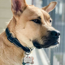 Load image into Gallery viewer, My Human Is "Single" - Aluminum Dog Bone Dog Tag