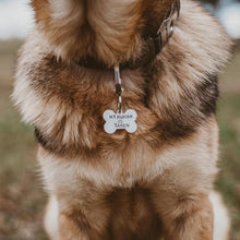 Load image into Gallery viewer, My Human Is "Single" - Aluminum Dog Bone Dog Tag