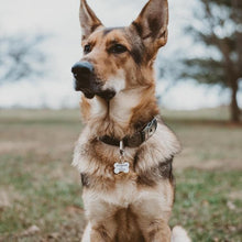 Load image into Gallery viewer, My Human Is "Single" - Aluminum Dog Bone Dog Tag